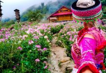Du lịch Sapa – “Thành phố trong sương” nổi tiếng du lich sapa